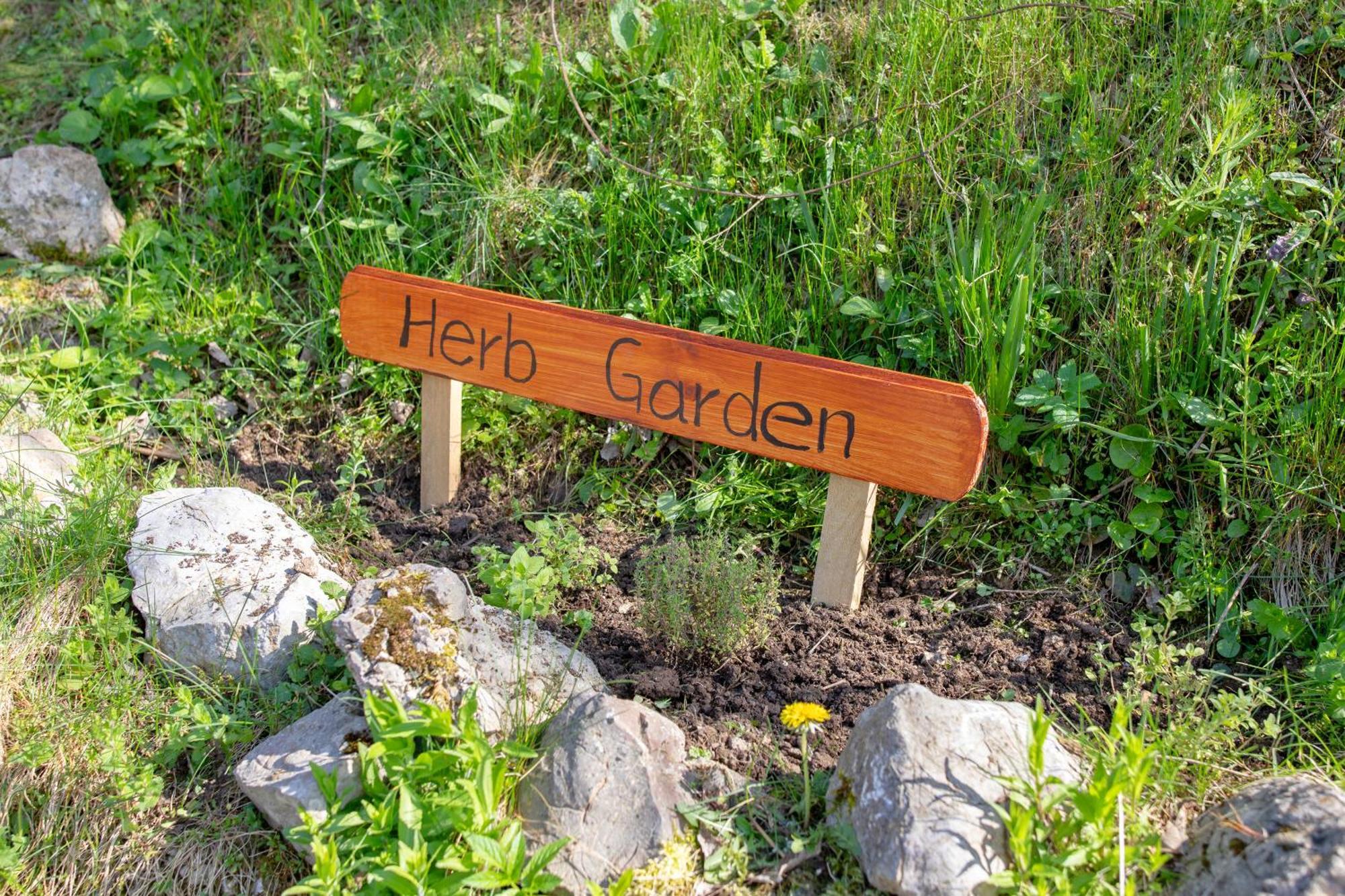 Quiet Family House Butterfly Place Dob Екстериор снимка